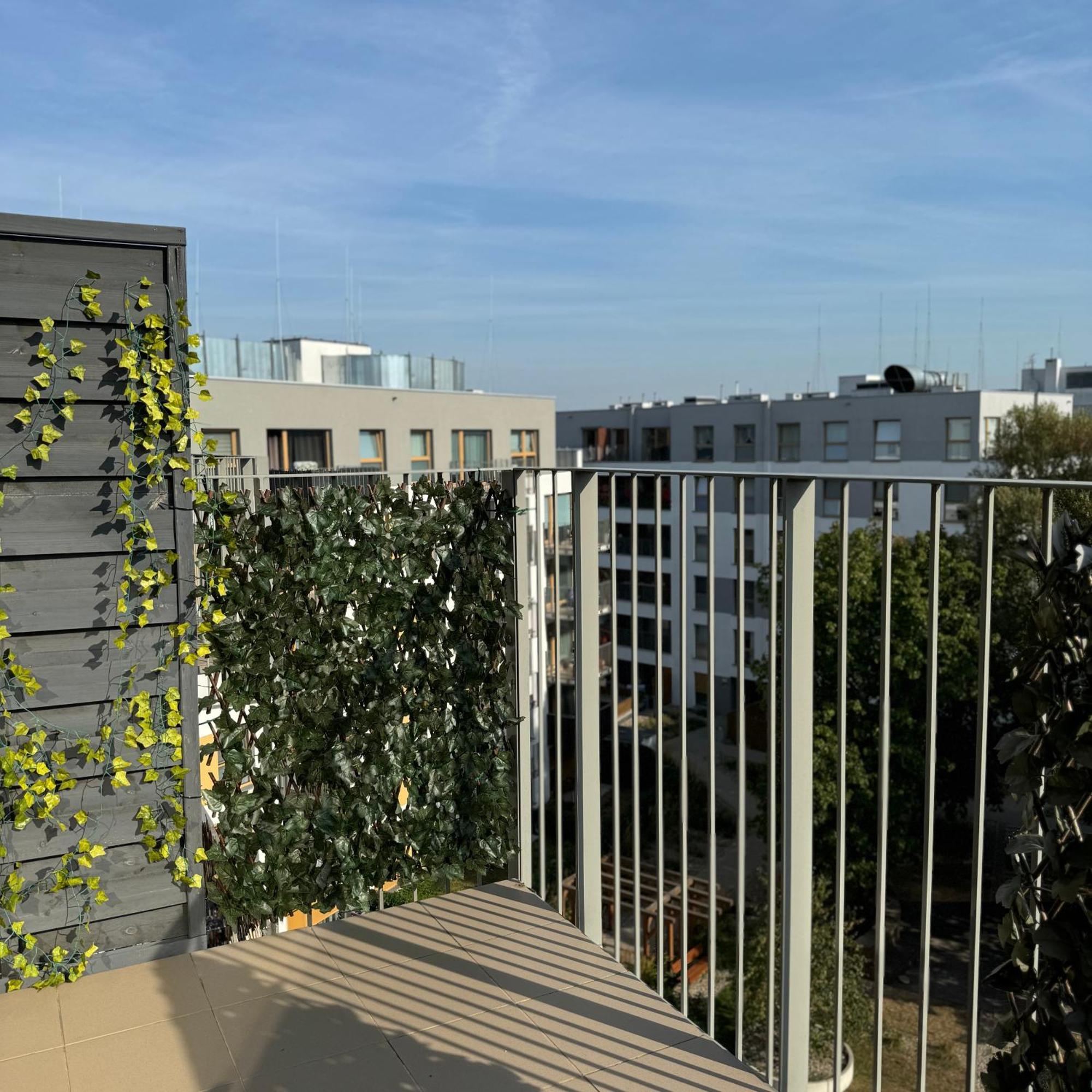 Smolna Sun * Szelag